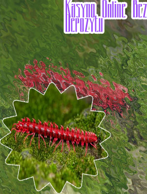 Polskie kasyno darmowe spiny